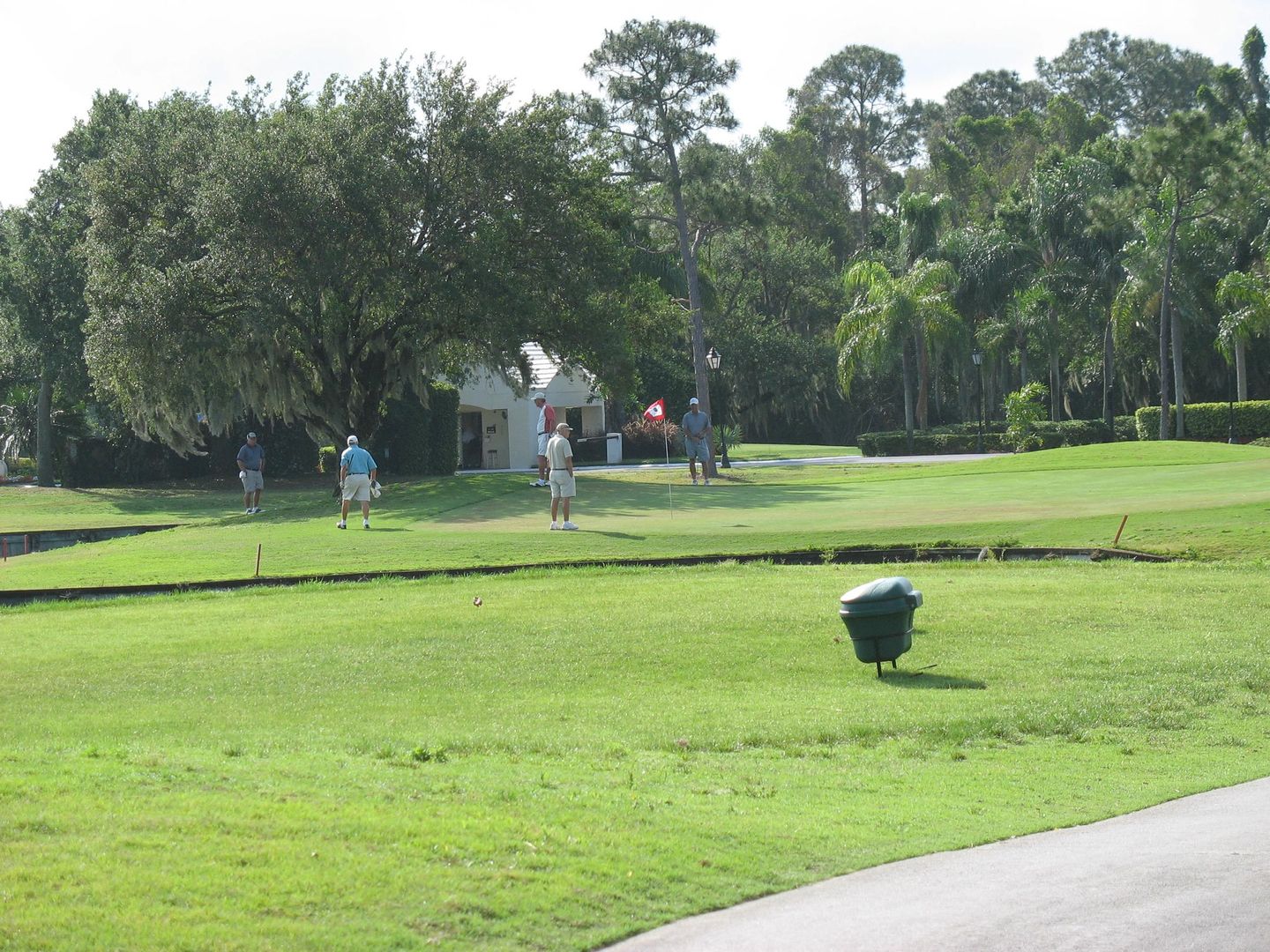 Pine Lakes Country Club Golfers, North Fort Myers, Florida